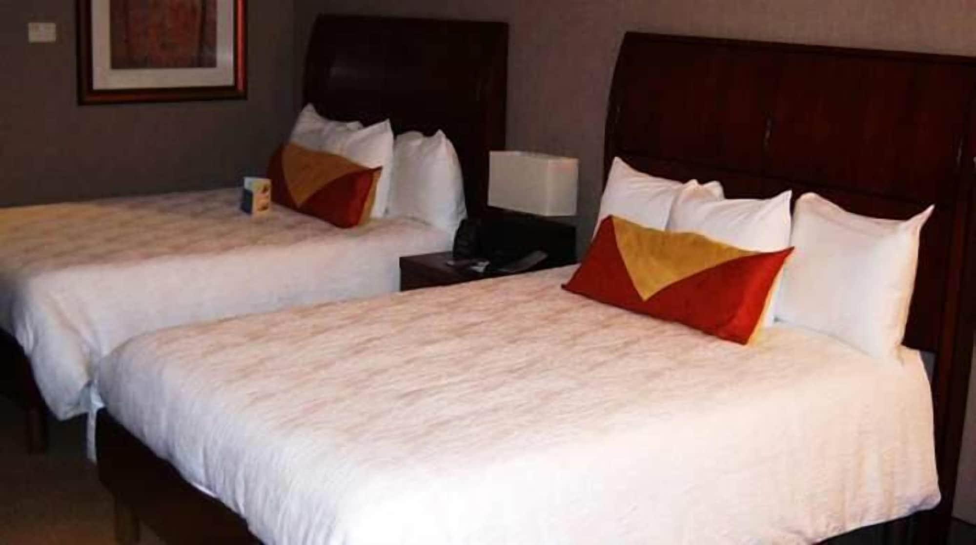 Hilton Garden Inn Indianapolis South/Greenwood Pokój zdjęcie